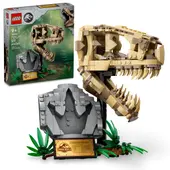 Dinosaur Fossils T. rex